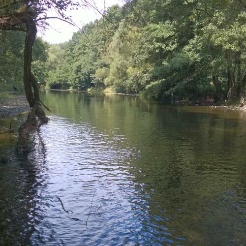 20140824_12_37_54_Floeha01.jpg