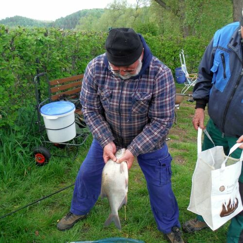 2015-05-10_10-21-31_DSCF0966.jpg